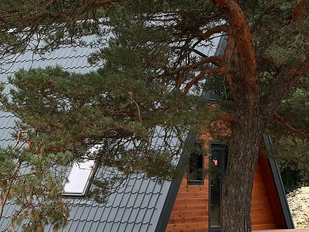 Проект A-FRAME L49